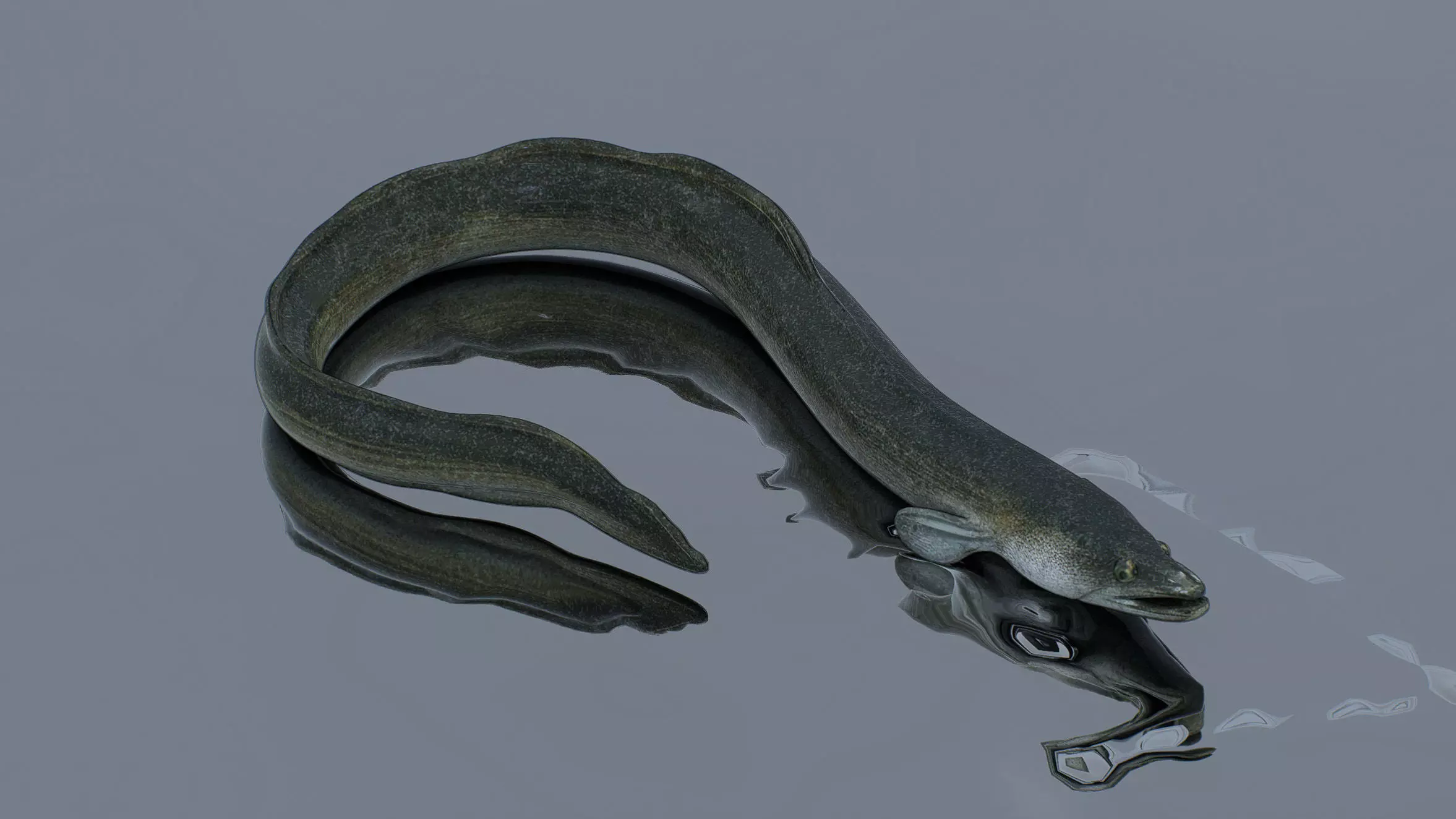 An Eel Low-poly 3D model