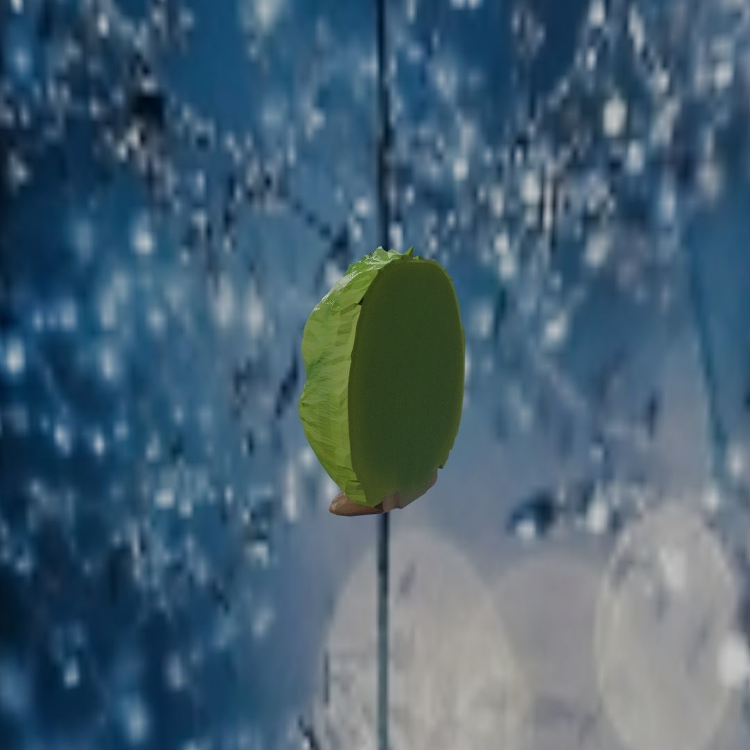 Adorable Forest Friend Creature Free 3D print model_8