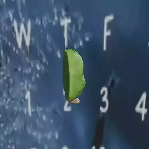 Adorable Forest Friend Creature