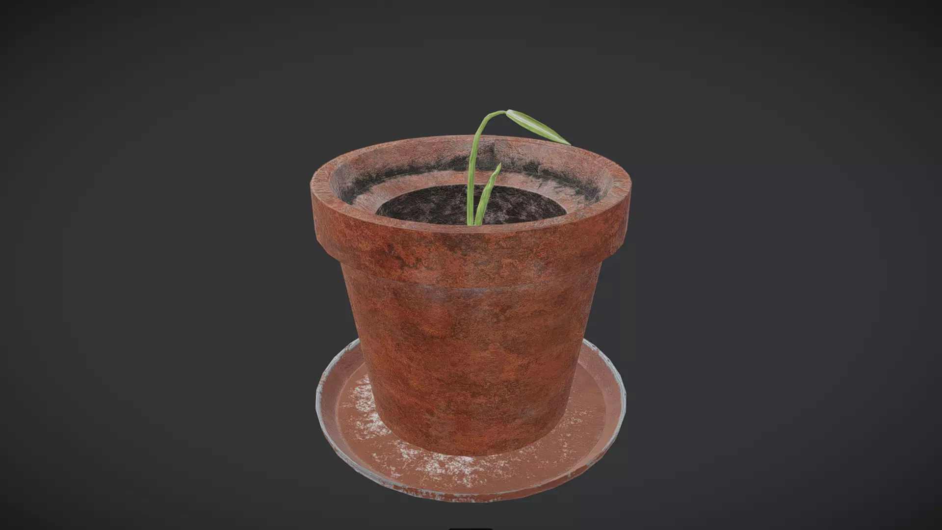 Monstera Plant in Pot Free low-poly 3D model