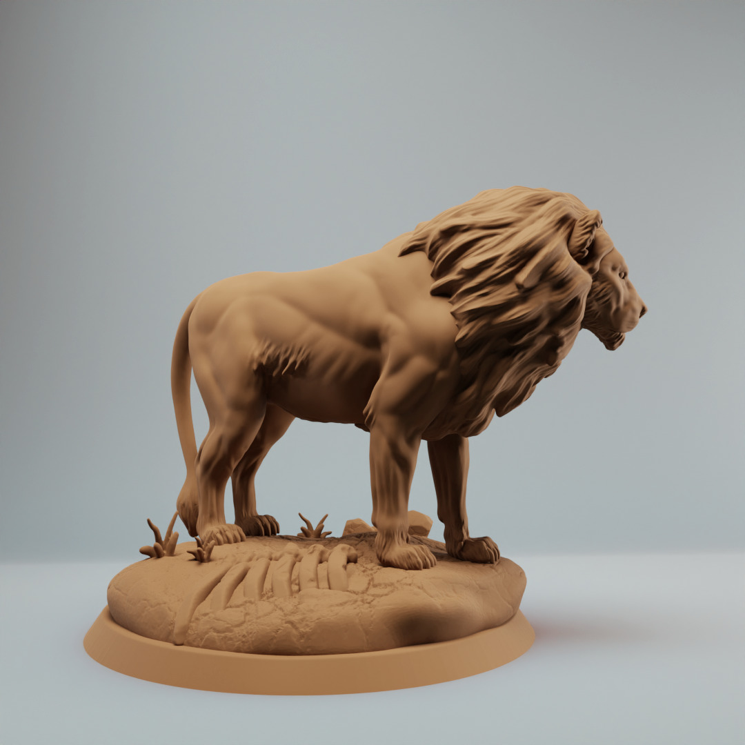 Lion standing male lion model pre supported 3D print model_2