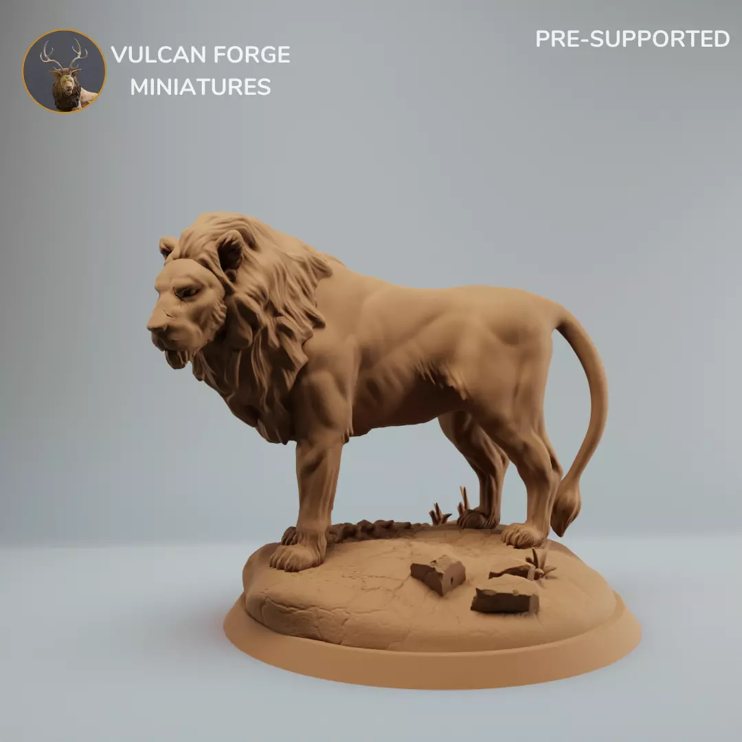 Lion standing male lion model pre supported 3D print model_0