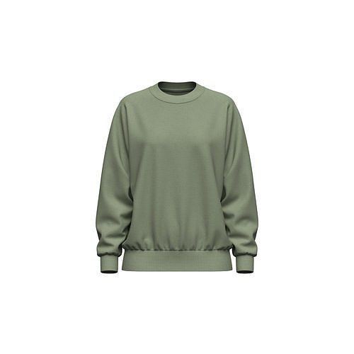 Women Loose Fit Raglan Sweatshirt 3D model Texture