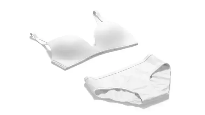 Womens Lingerie White Set With Briefs - bra with slip panties 3D model