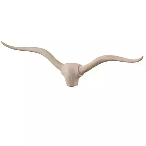 Longhorn Wall Art by PotteryBarn