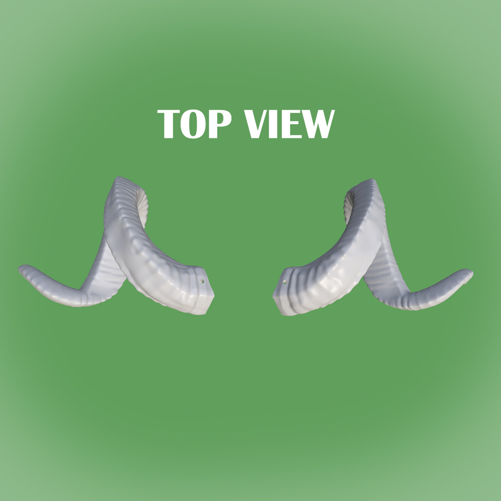 Demon Horns twisted 3D print model_3