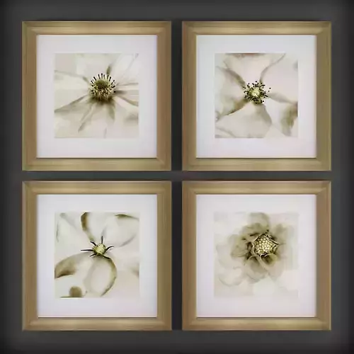 Picture Frames