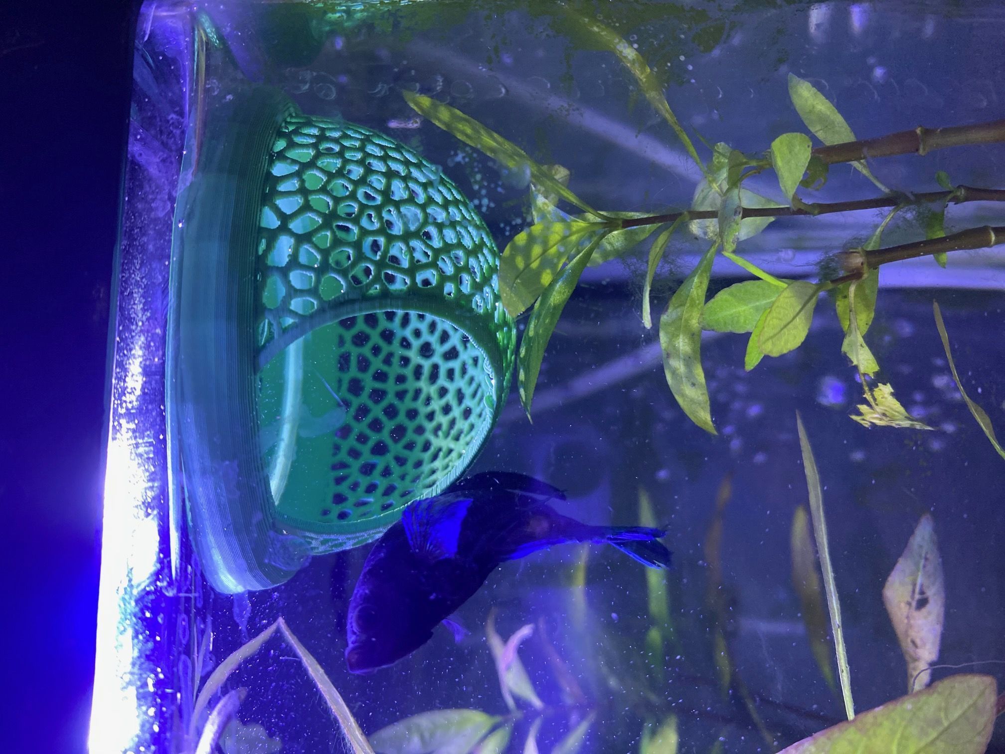 Floating Aquarium Hide 3D Printable Model 3D print model_1