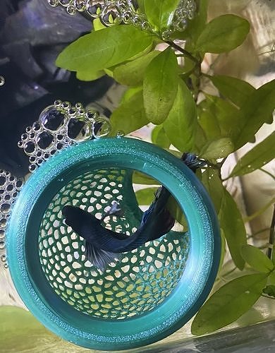Floating Aquarium Hide 3D Printable Model 3D print model