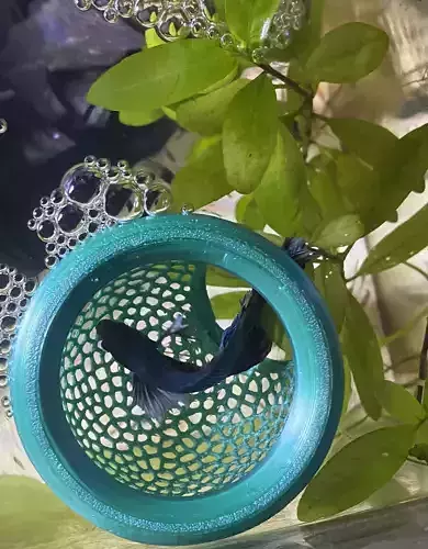 Floating Aquarium Hide 3D Printable Model 3D print model