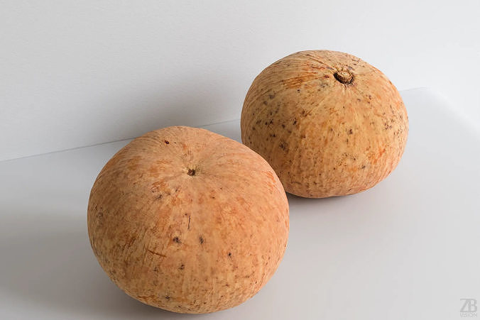 Santol 3D model