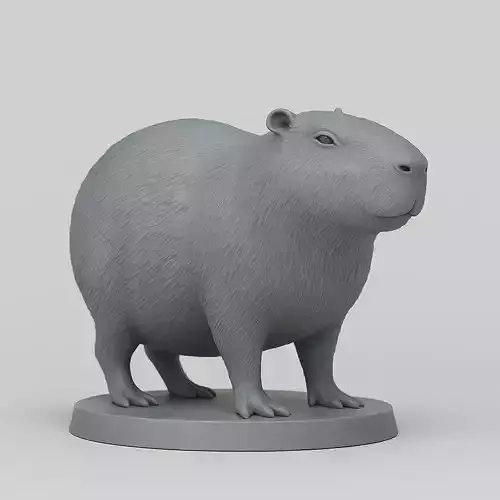 Capybara  3D print model  3D print model