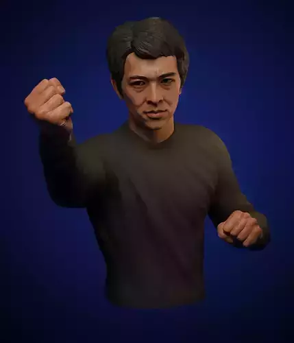 Jet Li 3d bust