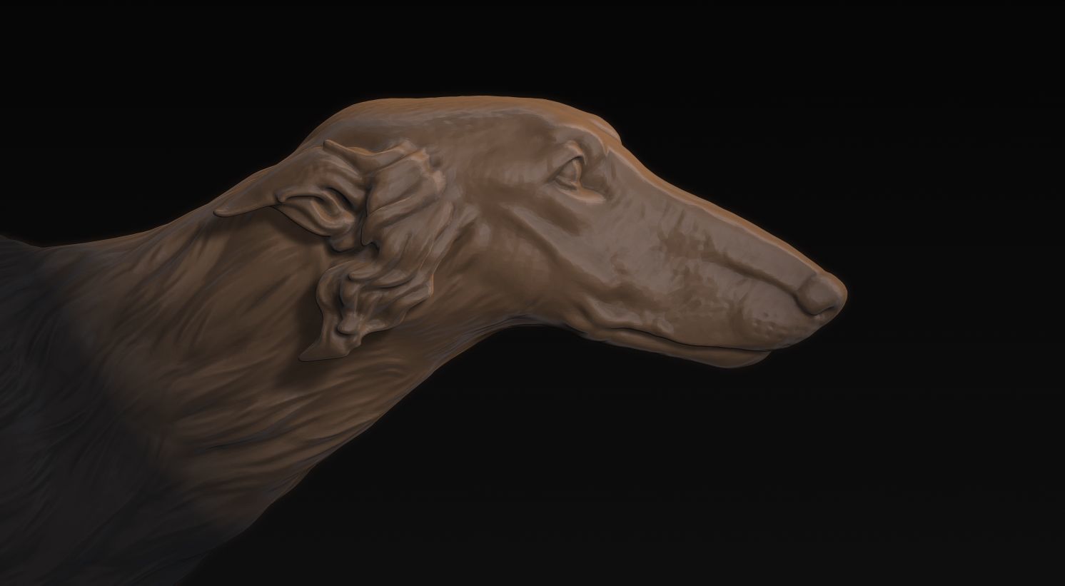 Borzoi Corriendo 3D print model_6