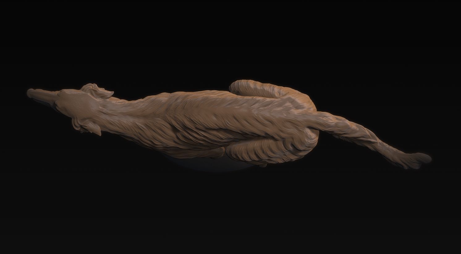 Borzoi Corriendo 3D print model_10