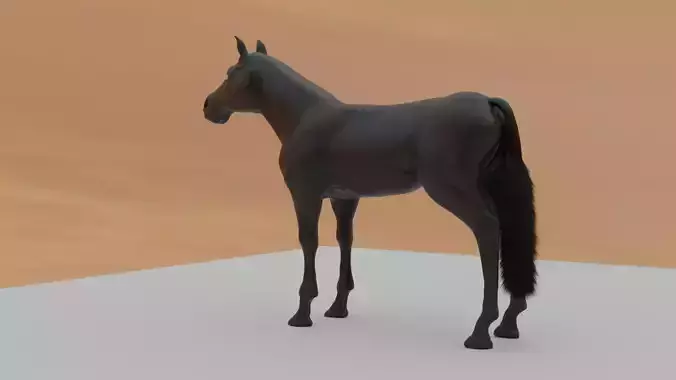  A realistic horse
