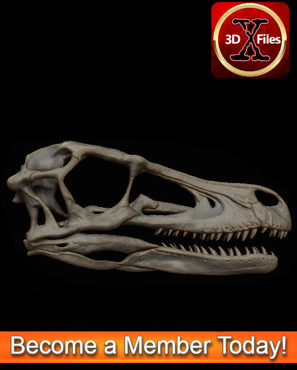 Velociraptor Skull - Dinosaur Fossil Replica   3D print model_2