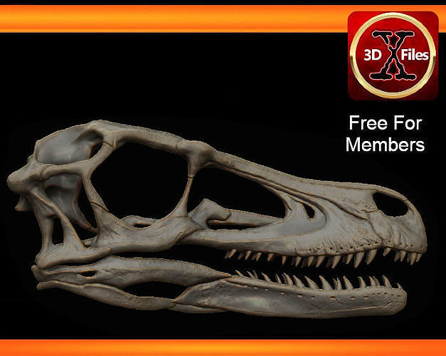Velociraptor Skull - Dinosaur Fossil Replica   3D print model