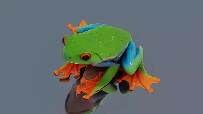Tree frog Low-poly 3D model