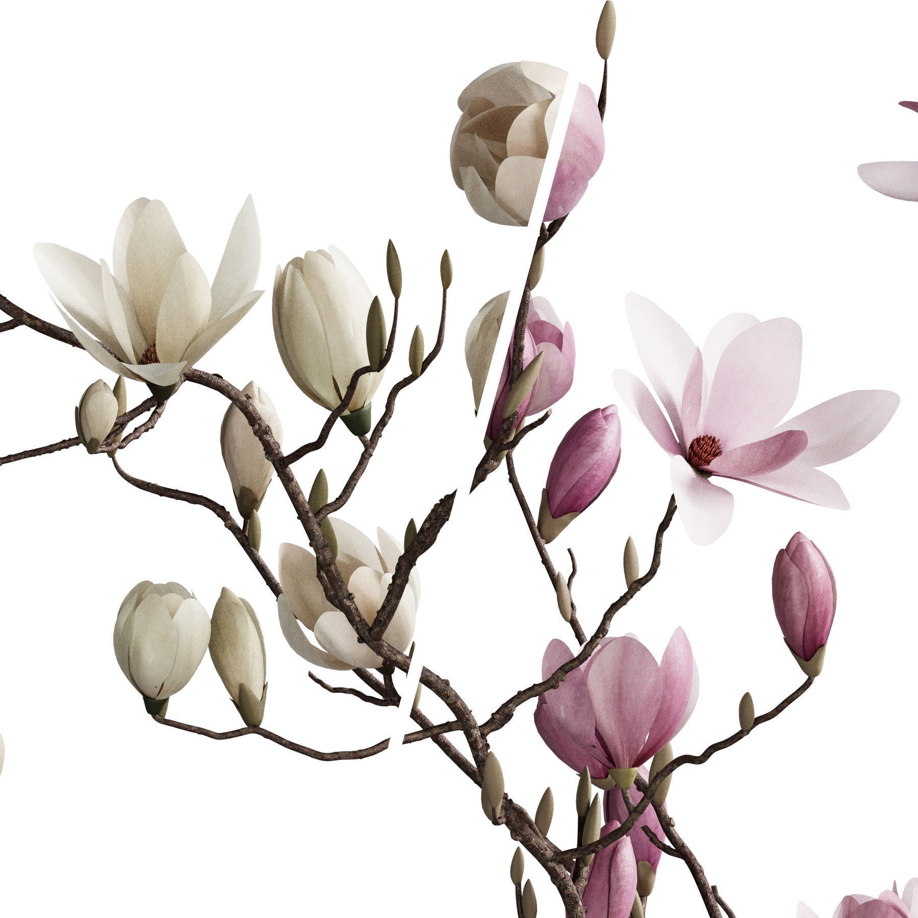 Flower In Vase 85 3D model_4