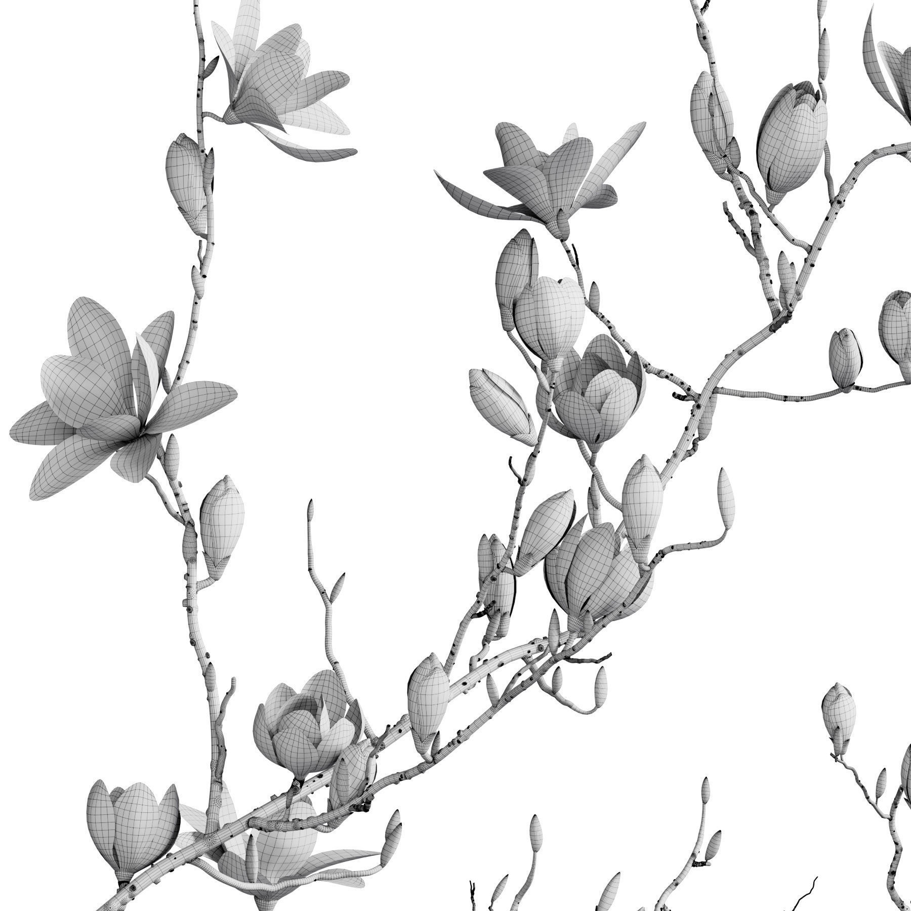 Flower In Vase 85 3D model_5