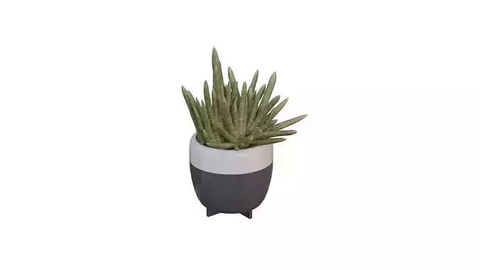 3D Model of Indoor Bamboo Plant Realistic and Printable