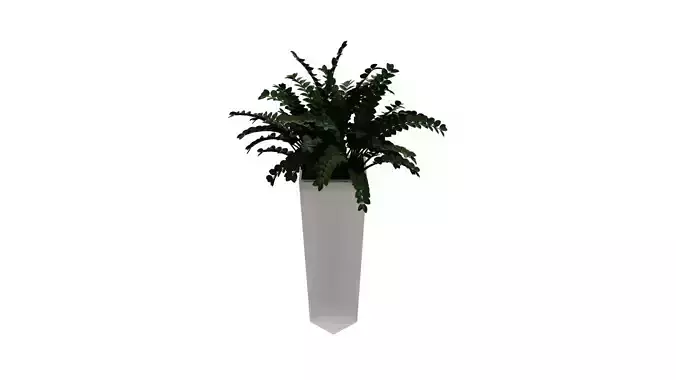 Potted Cordyline Glauca Plant High-Quality 3D Model Free