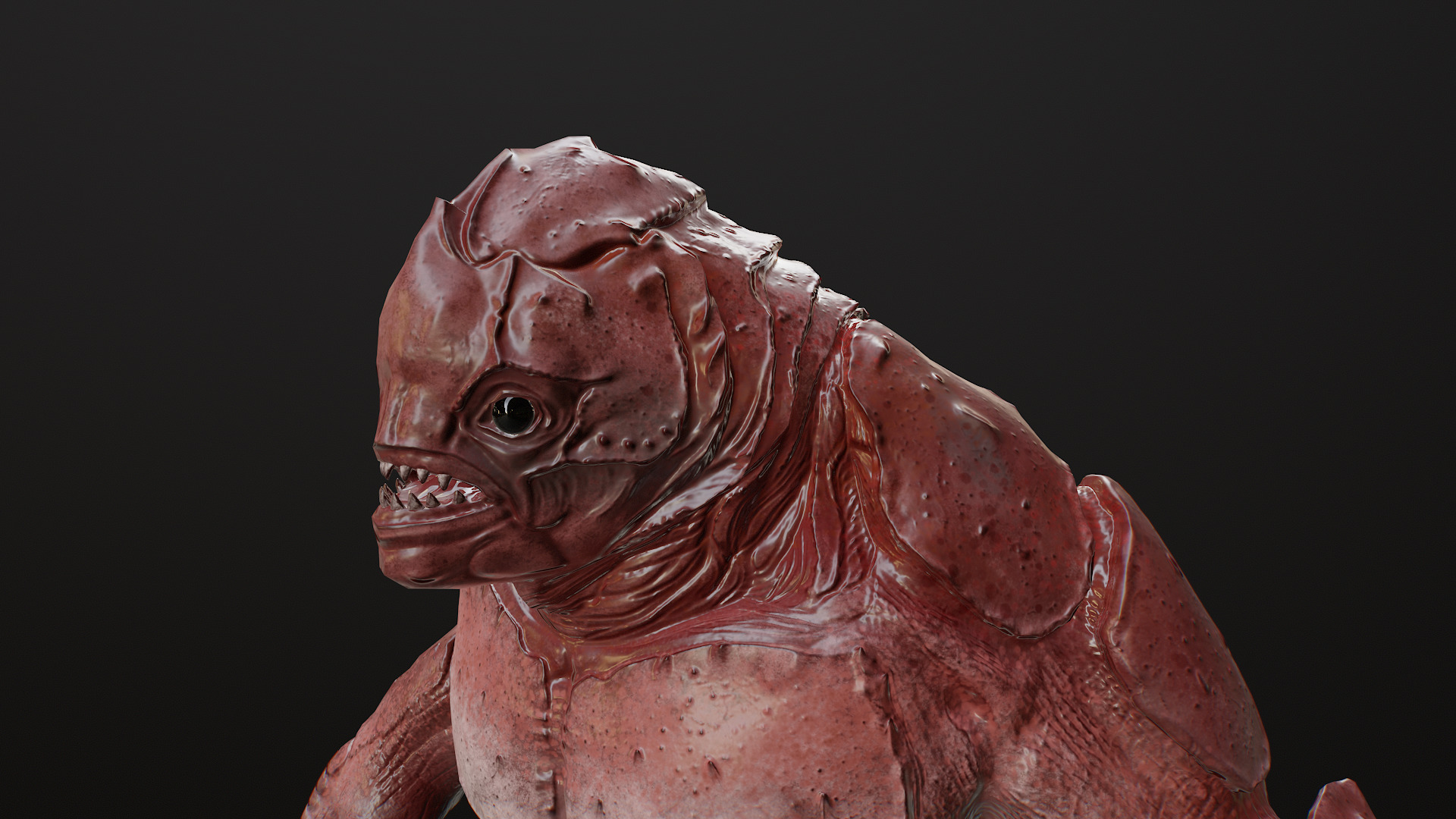 Water Creature Low-poly 3D model_19