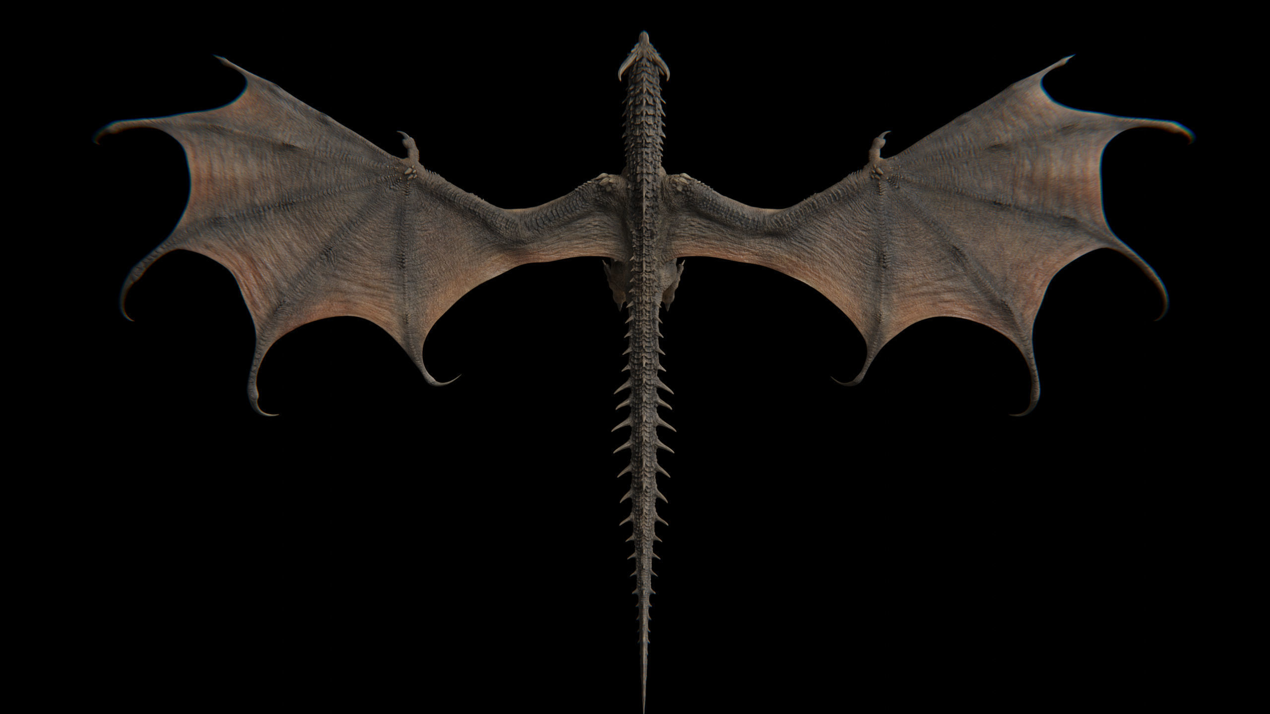 Dragon Low-poly 3D model_40