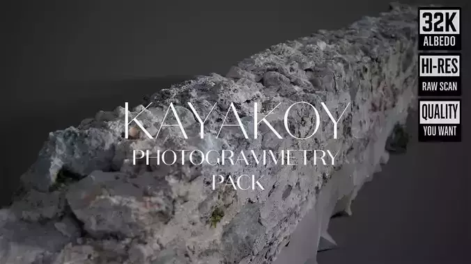 Abandoned House Ruined Part Scan - Fence Top 03