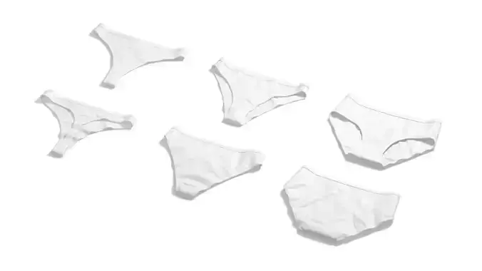 Womens Panties White Set - thong slip brief types panties 3D model
