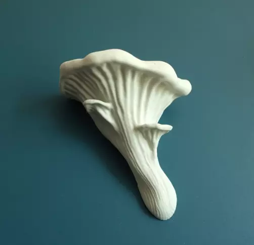 Mushroom shelf Oyster 3D print model