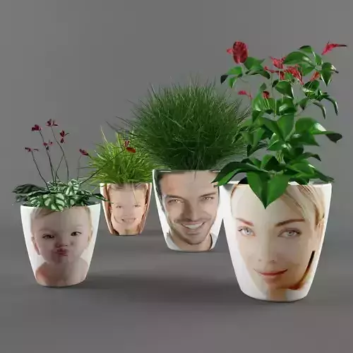 Plants in a pots with faces 3D model