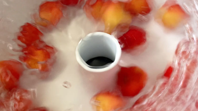 Vortex Fruit Washer Size L 3D print model_2