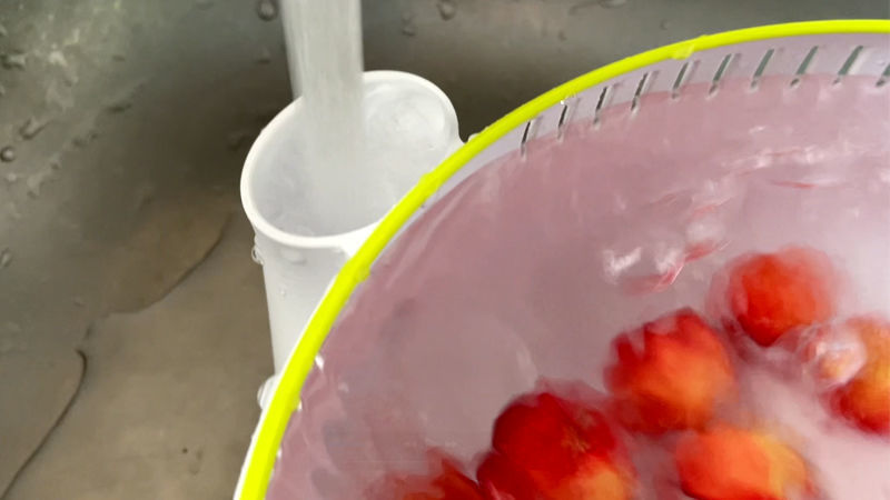 Vortex Fruit Washer Size L 3D print model_1