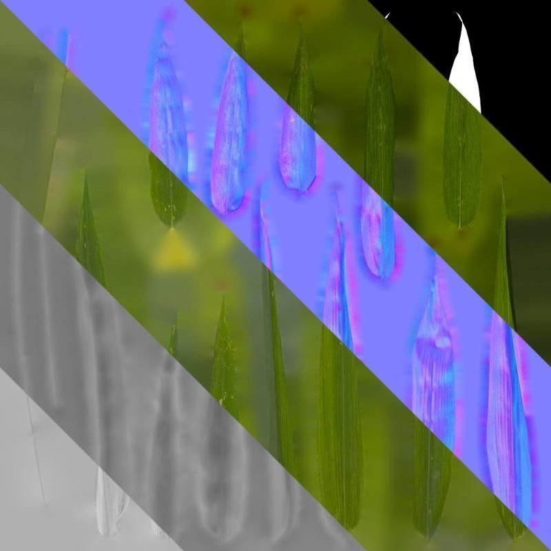 Anydrafts Bambusa boniopsis Leaf 02 Texture_8