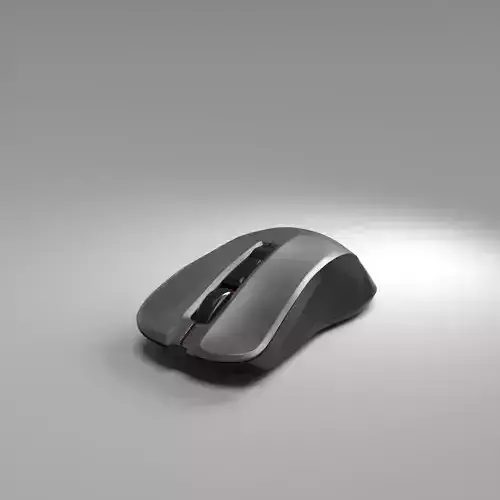 computer mouse