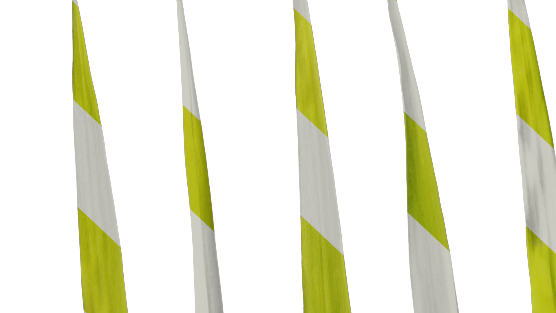 Anydrafts Bambusa multiplex Leaf 03 Texture_7