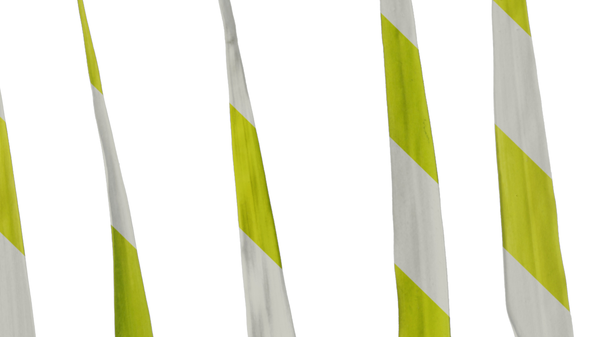 Anydrafts Bambusa multiplex Leaf 03 Texture_4