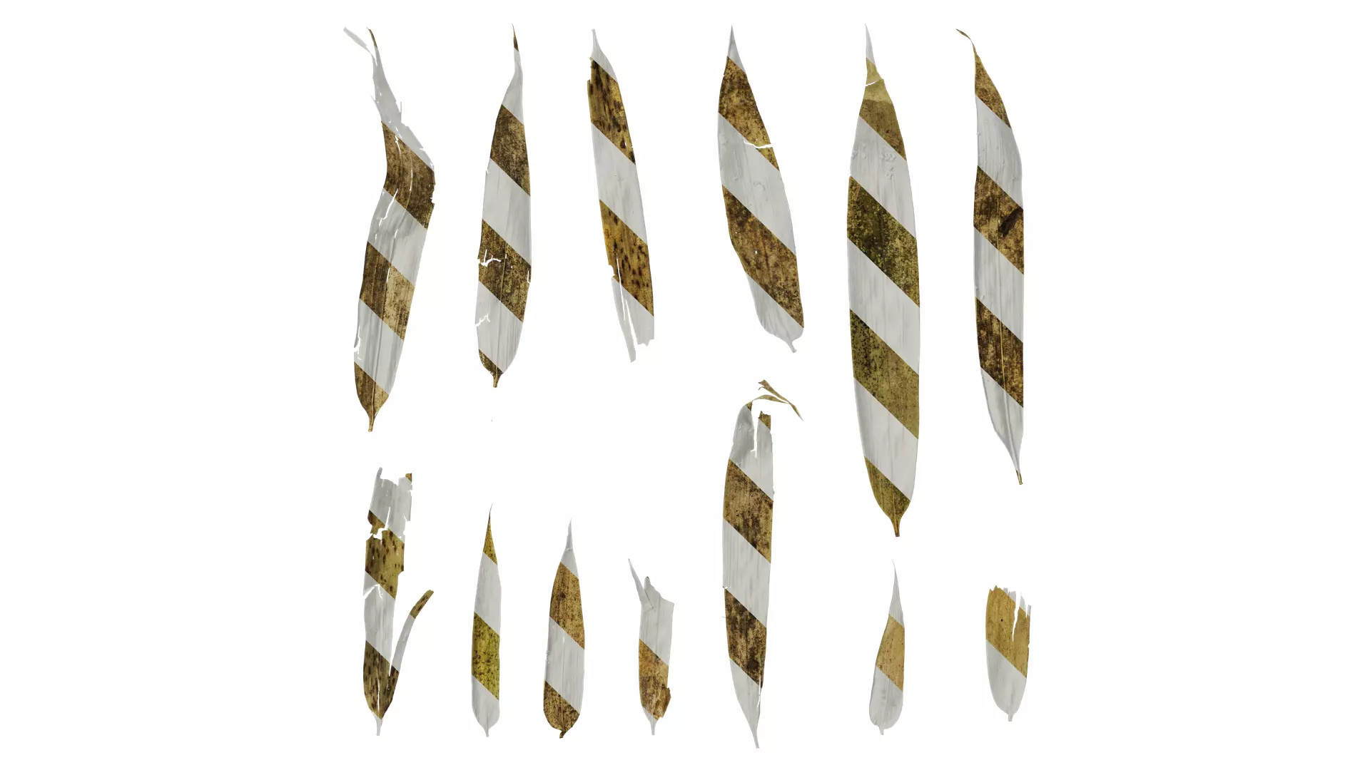 Anydrafts Bambusa multiplex Leaf 06 Texture