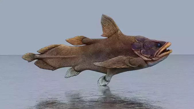 Giant arapaima Low-poly 3D model