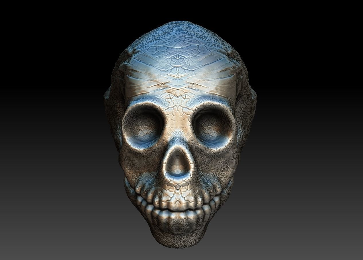 skullD skull Low-poly 3D model_2