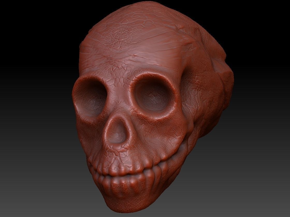 skullD skull Low-poly 3D model_4