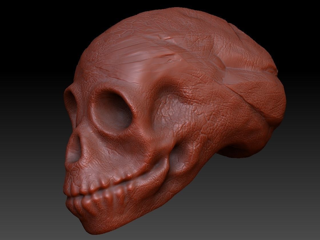 skullD skull Low-poly 3D model_5