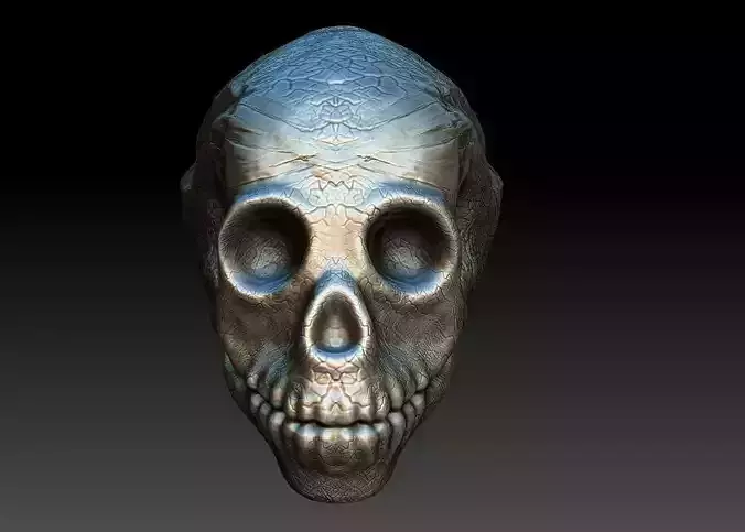 skullD skull