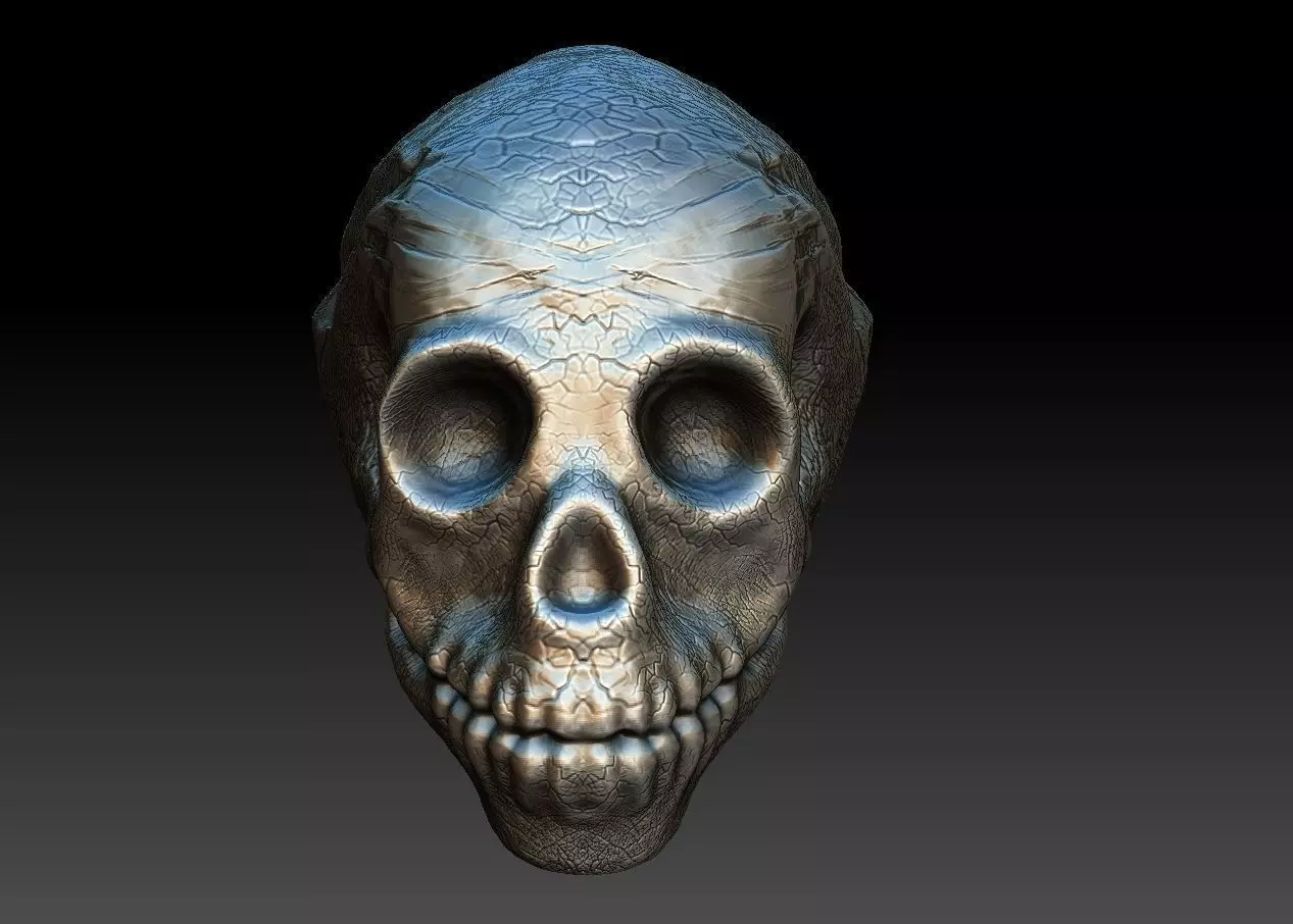 skullD skull Low-poly 3D model_0