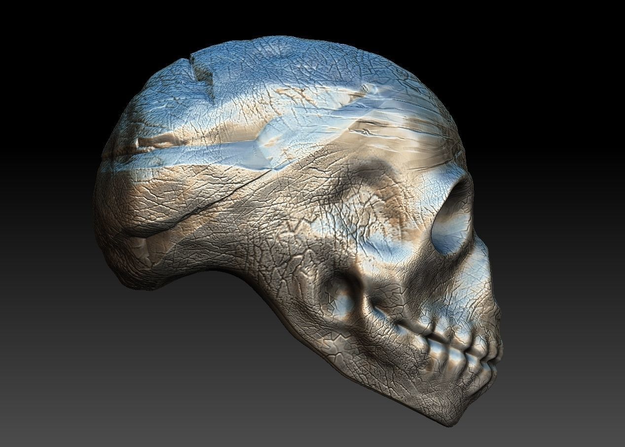 skullD skull Low-poly 3D model_8