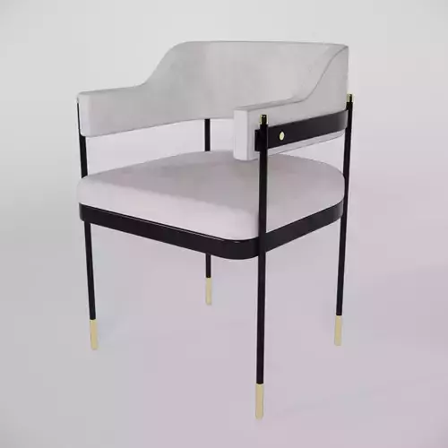 Modern Dining Chair