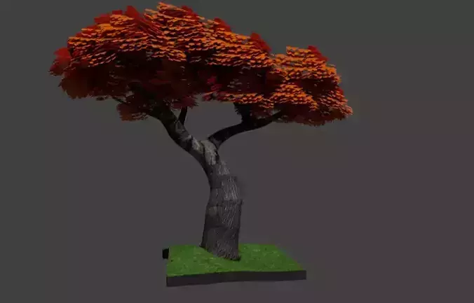 maple tree model