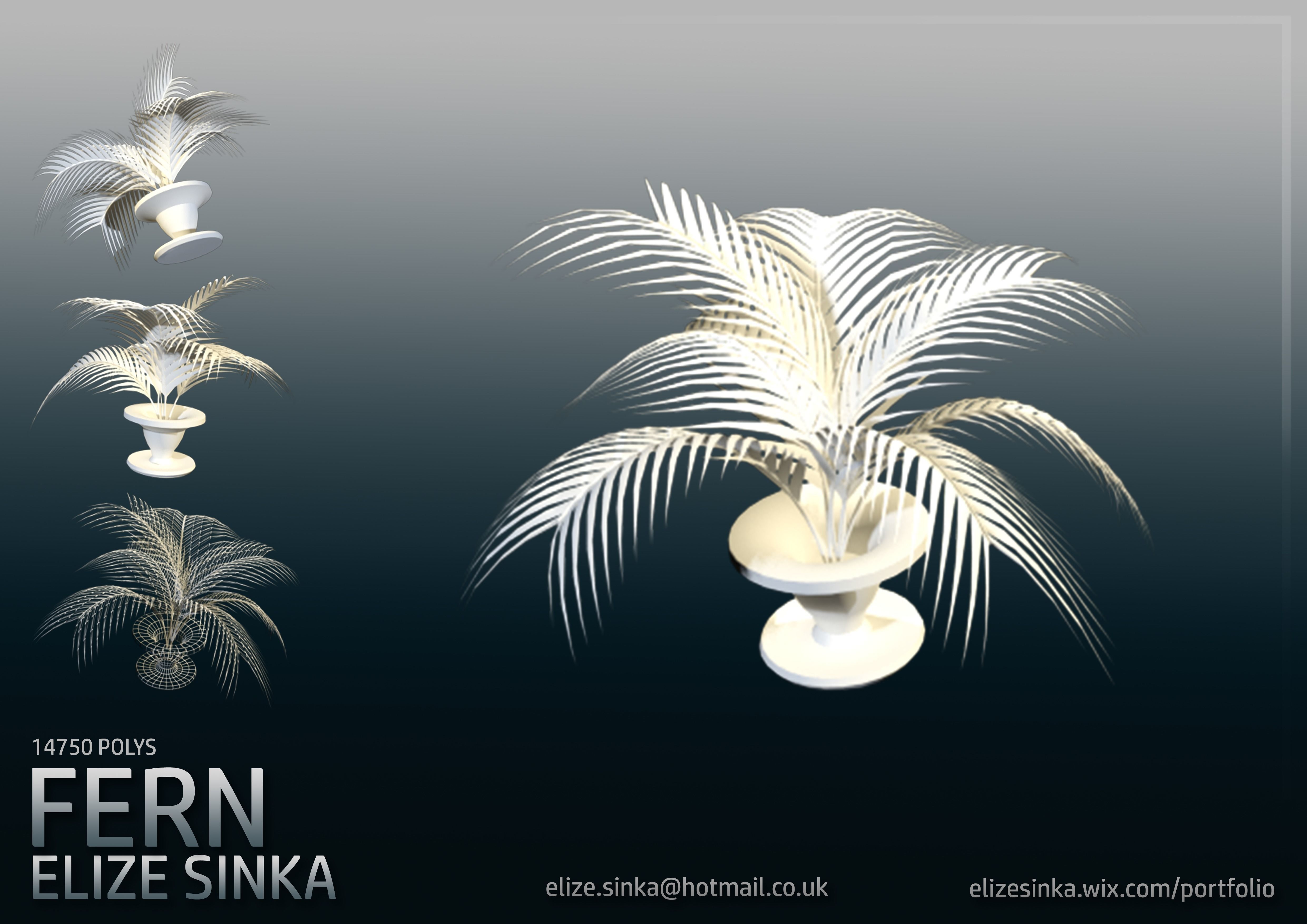 Fern in Pot 3D model_0